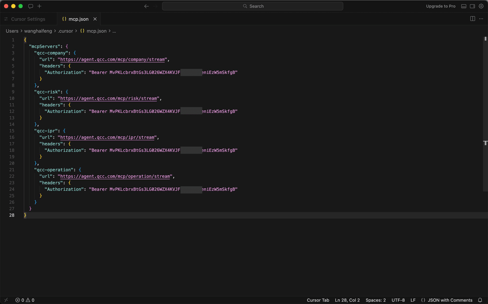 Cursor 配置截图 2